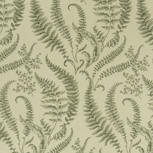 CLARKE AND CLARKE FOLIUM FOREST