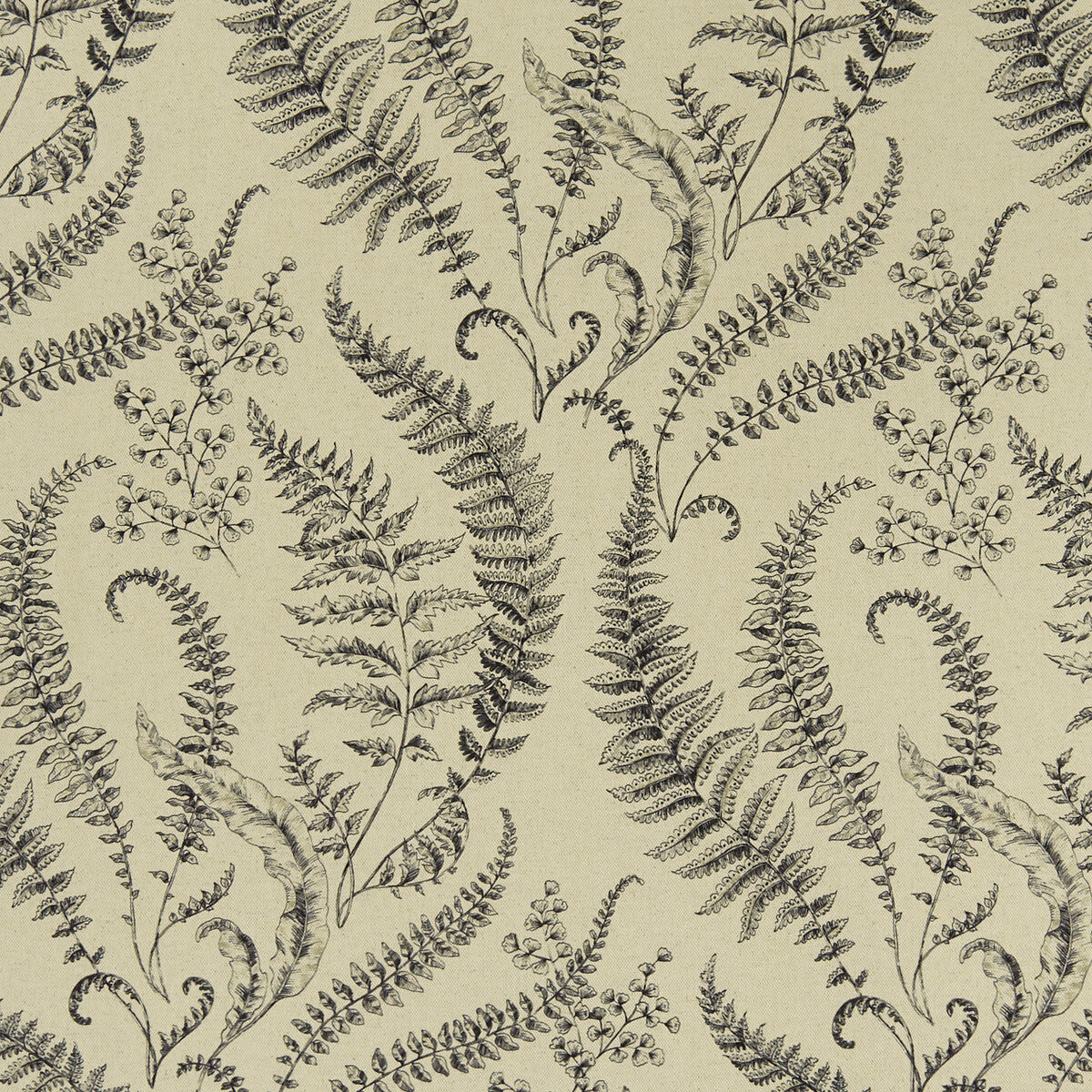 CLARKE AND CLARKE FOLIUM LINEN
