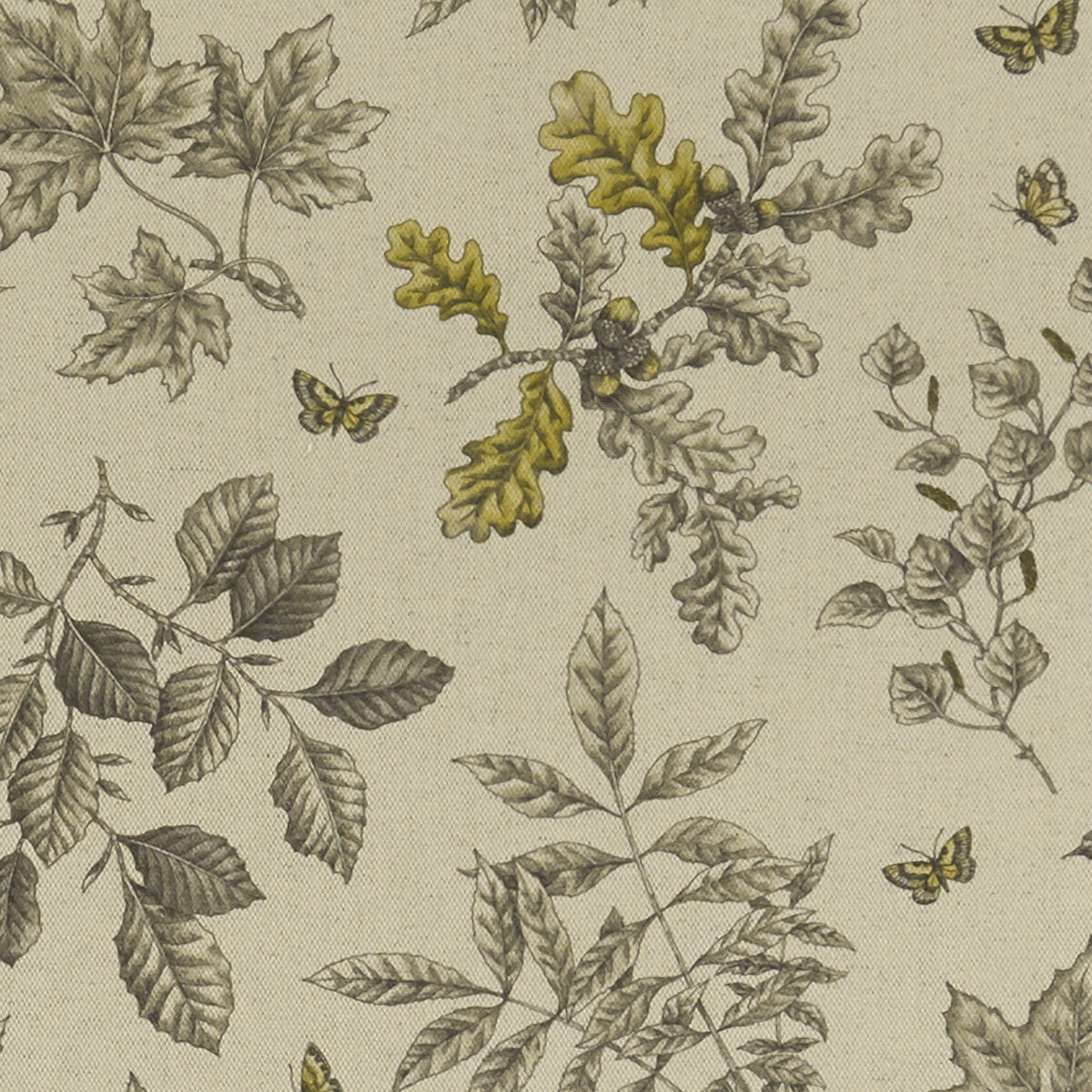 CLARKE AND CLARKE HORTUS CHARCOAL/OCHRE