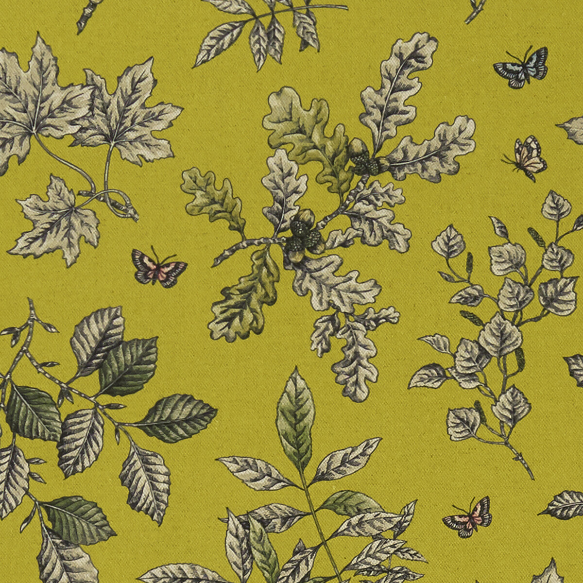 CLARKE AND CLARKE HORTUS CHARTREUSE