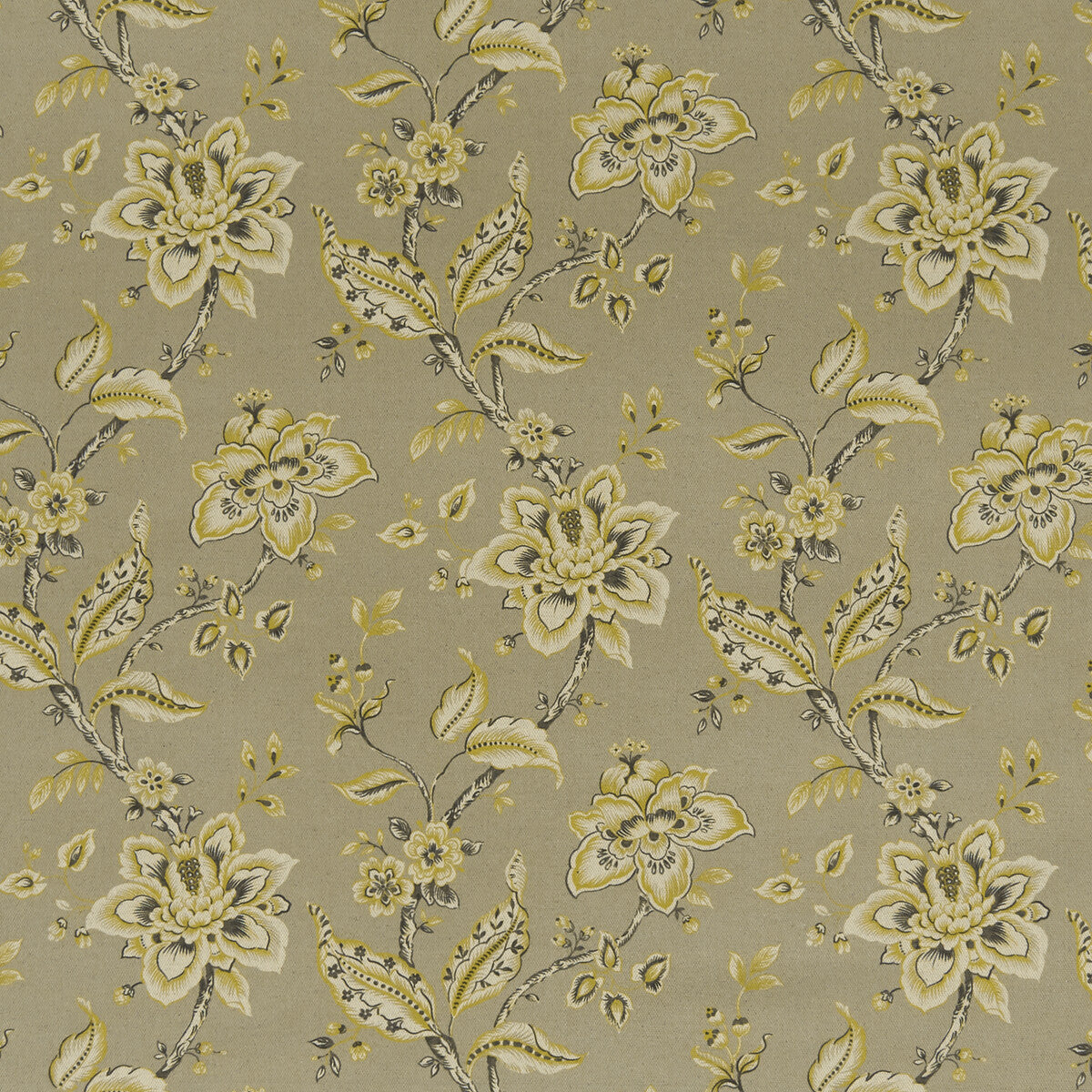 CLARKE AND CLARKE PALAMPORE TAUPE