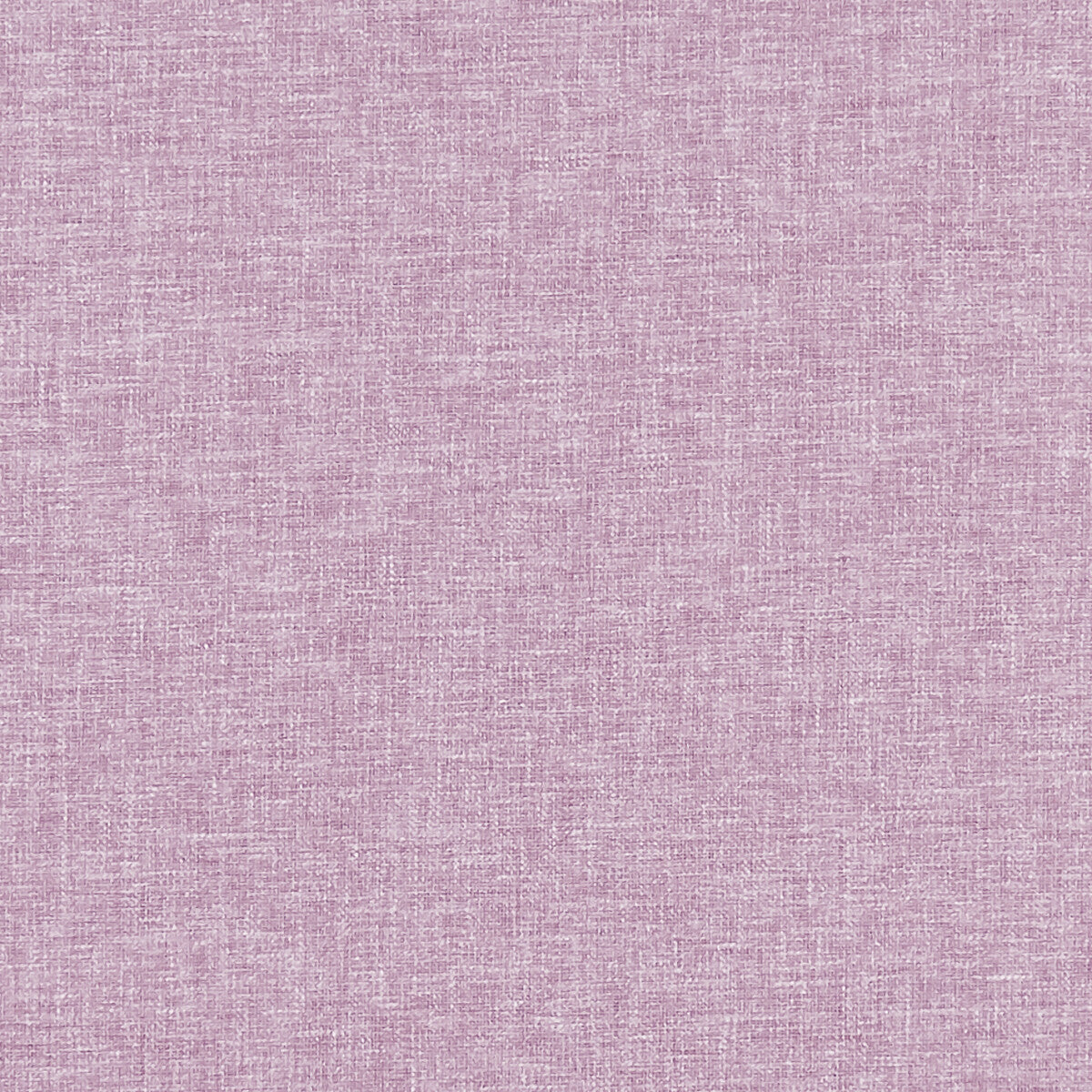 CLARKE AND CLARKE KELSO GRAPE