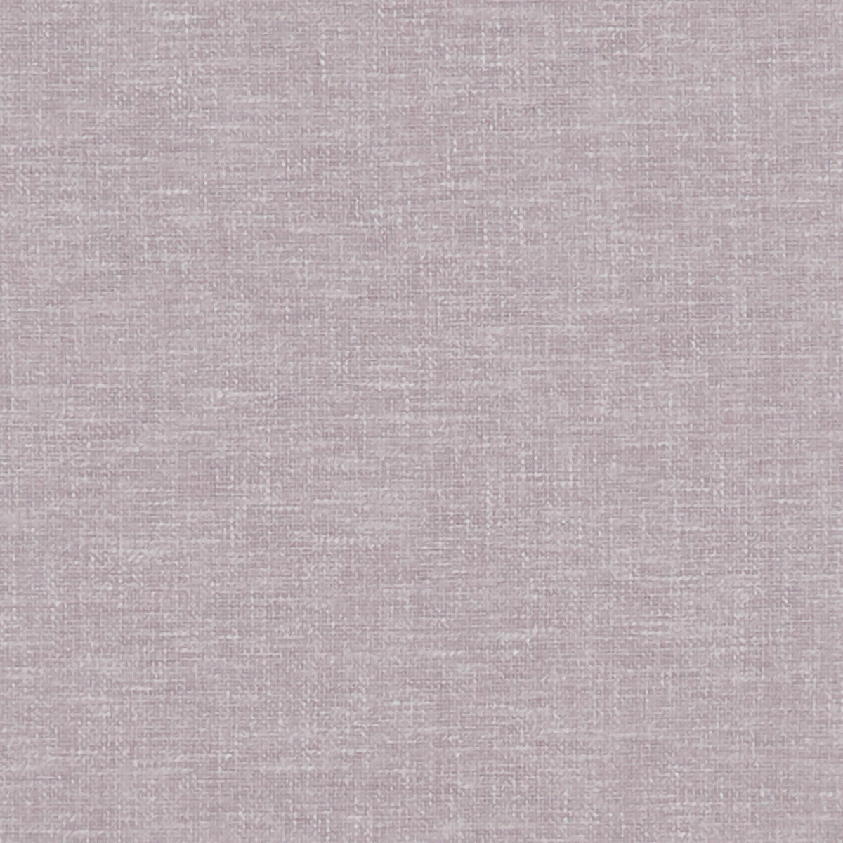 CLARKE AND CLARKE KELSO LILAC