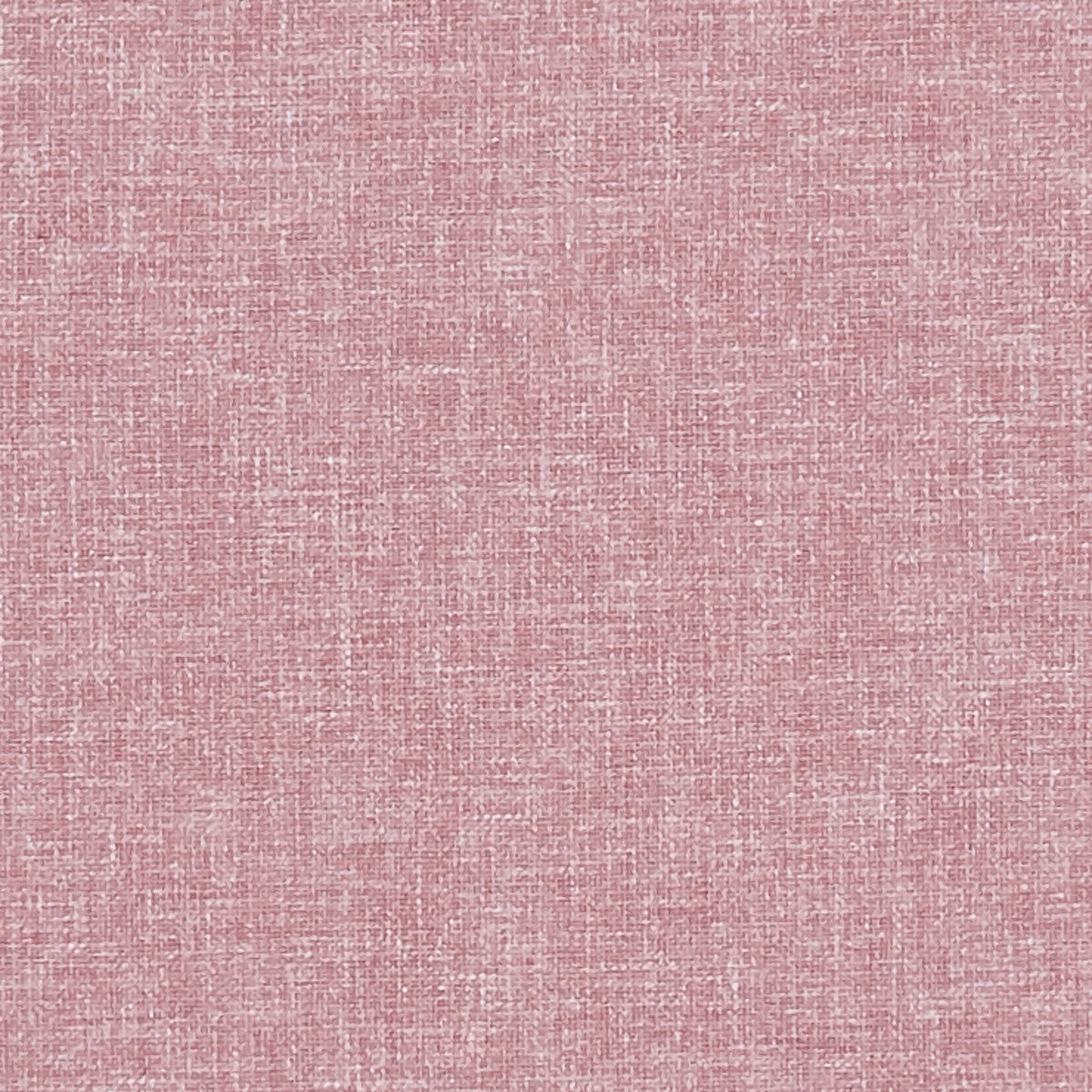 CLARKE AND CLARKE KELSO ROSE