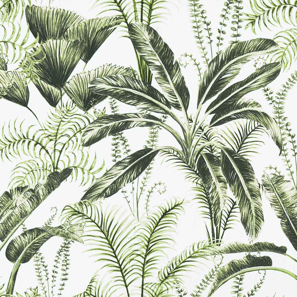 CLARKE AND CLARKE MAJORELLE IVORY