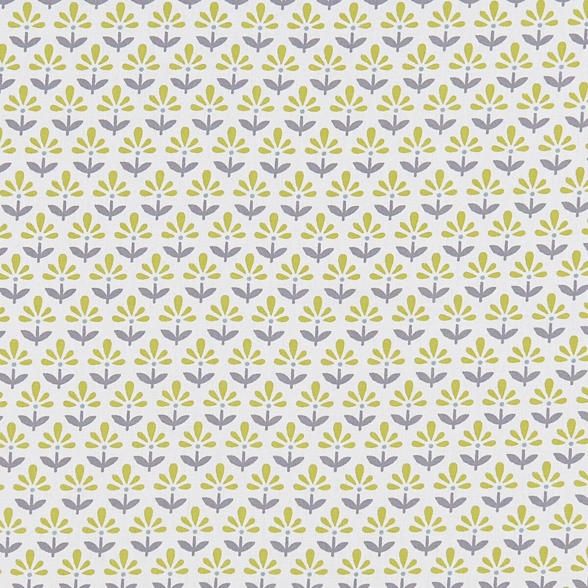 CLARKE AND CLARKE FLEUR CHARTREUSE/CHARCOAL