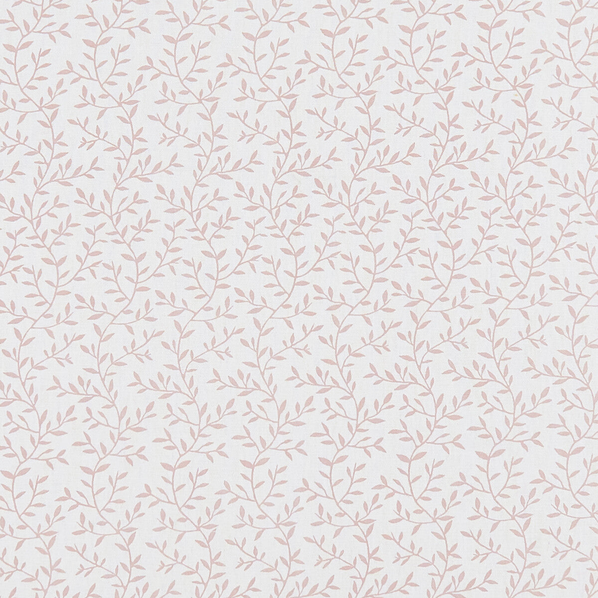 CLARKE AND CLARKE LILA BLUSH
