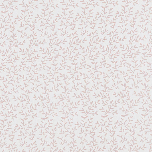 CLARKE AND CLARKE LILA BLUSH