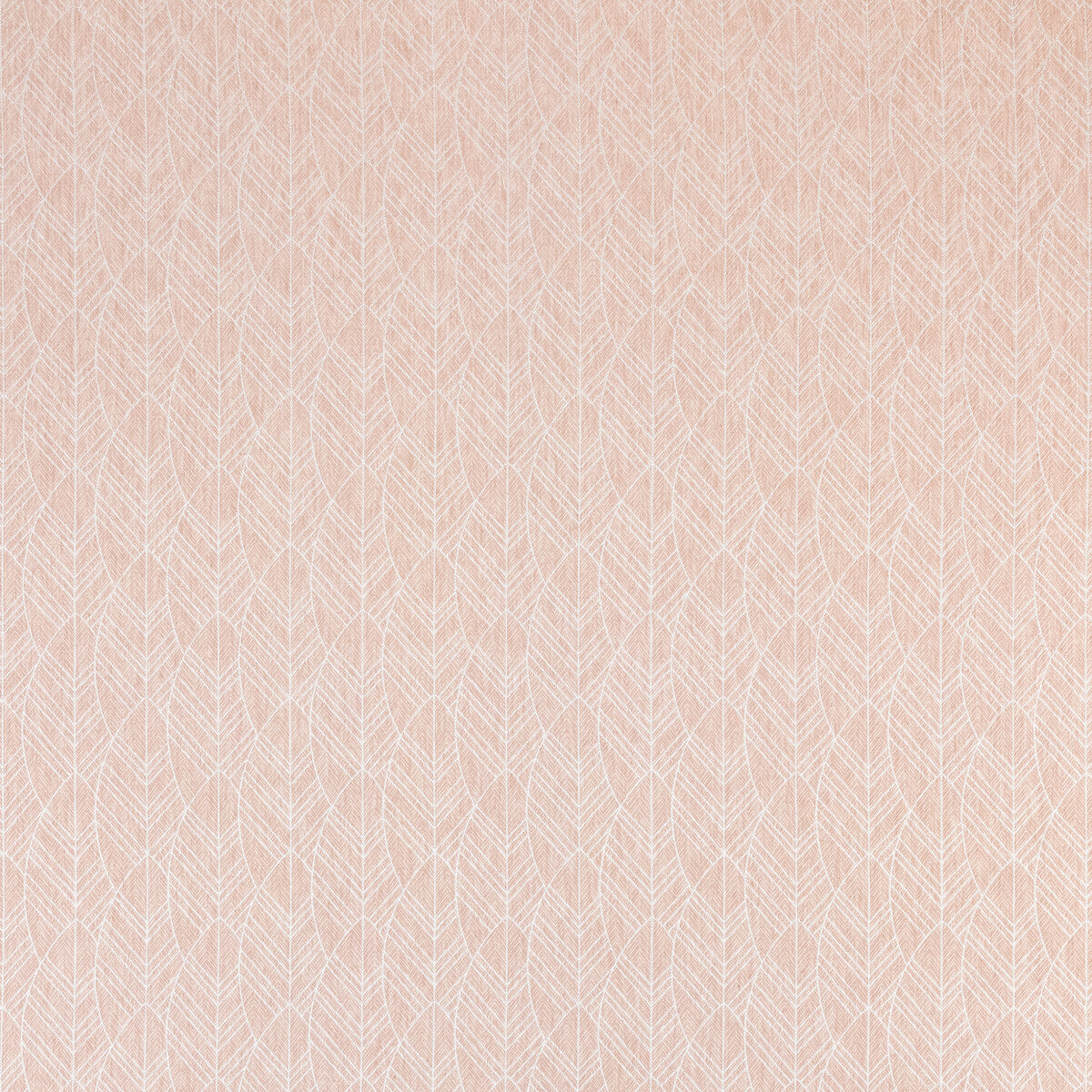 CLARKE AND CLARKE ATIKA BLUSH