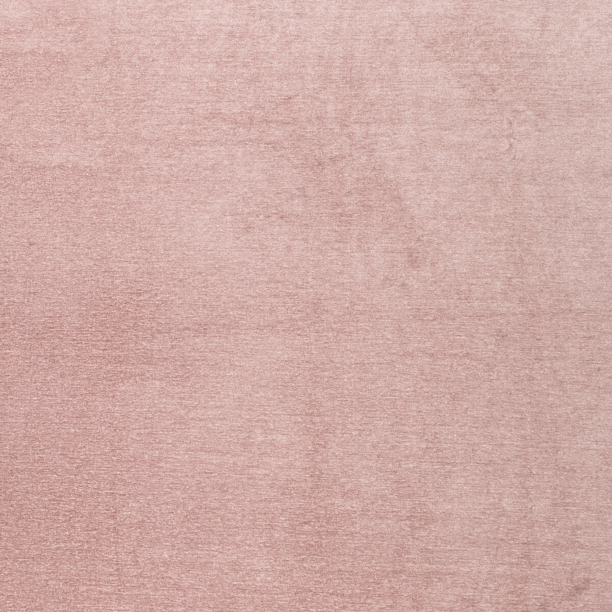 CLARKE AND CLARKE MACULO BLUSH