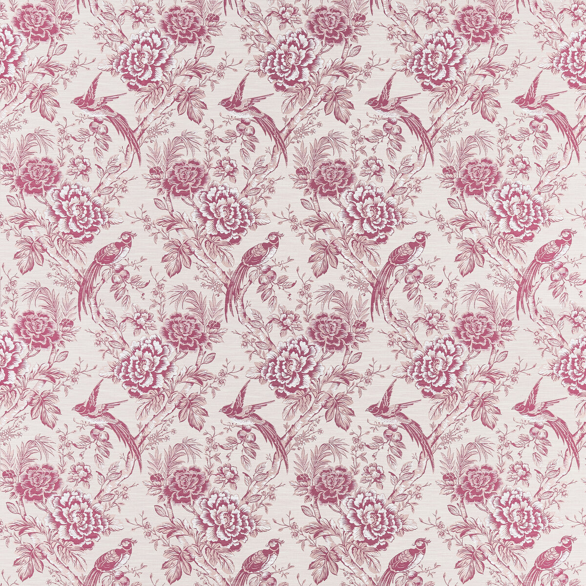 CLARKE AND CLARKE AVIUM RASPBERRY