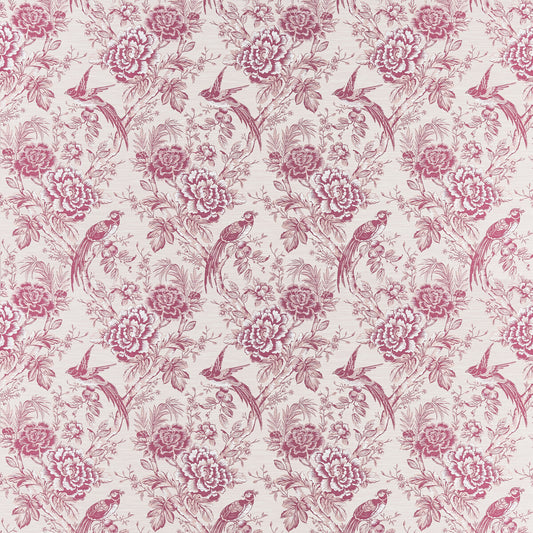 CLARKE AND CLARKE AVIUM RASPBERRY