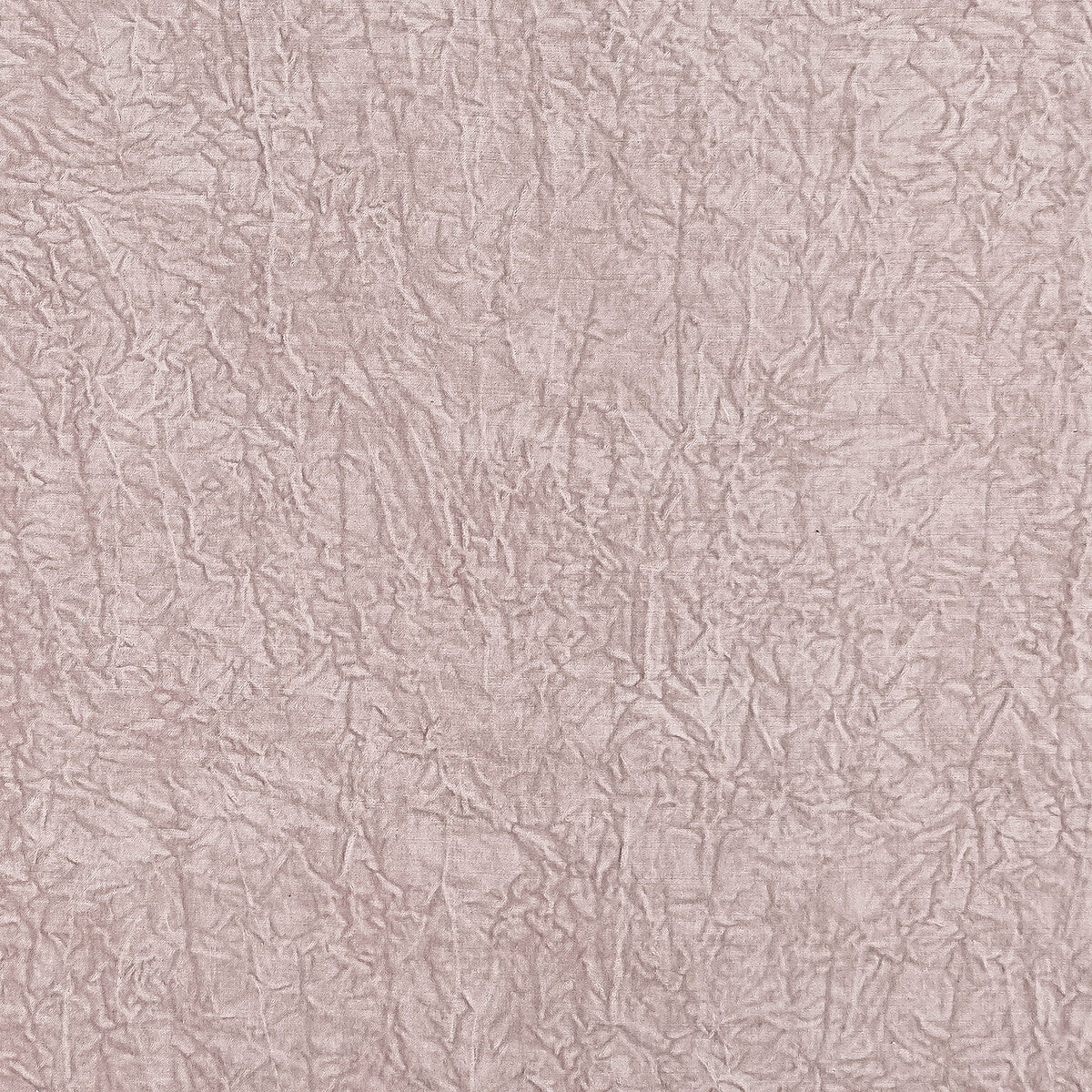 CLARKE AND CLARKE ABELIA BLUSH