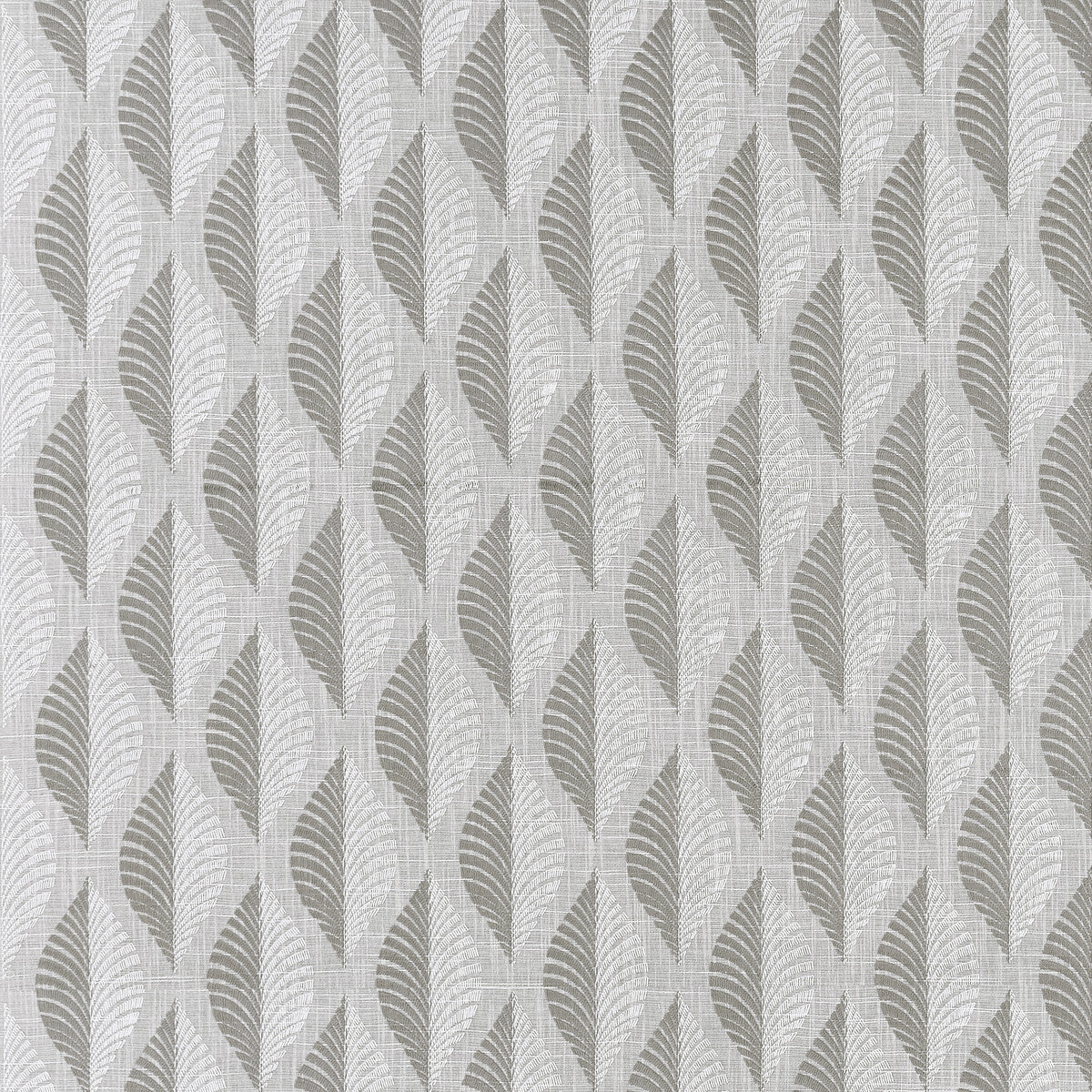 CLARKE AND CLARKE ASPEN CHARCOAL