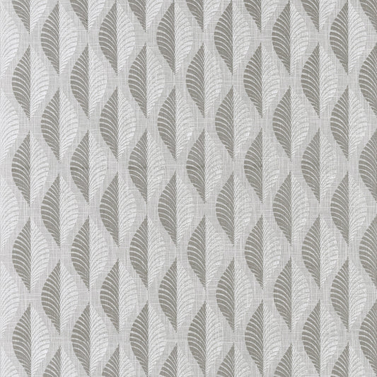 CLARKE AND CLARKE ASPEN CHARCOAL
