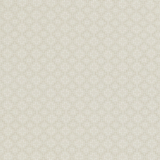 CLARKE AND CLARKE AZTEC IVORY
