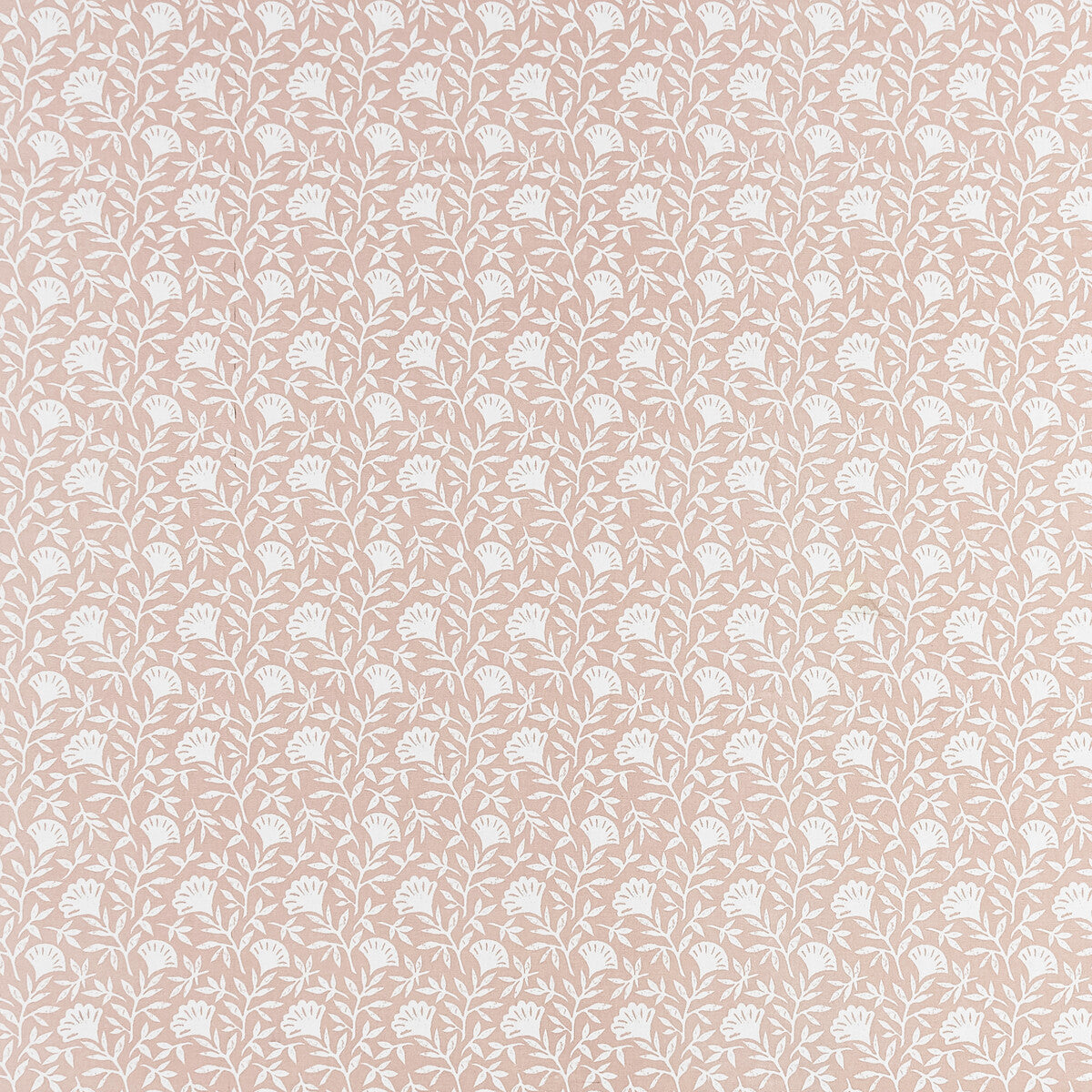 CLARKE AND CLARKE MELBY BLUSH