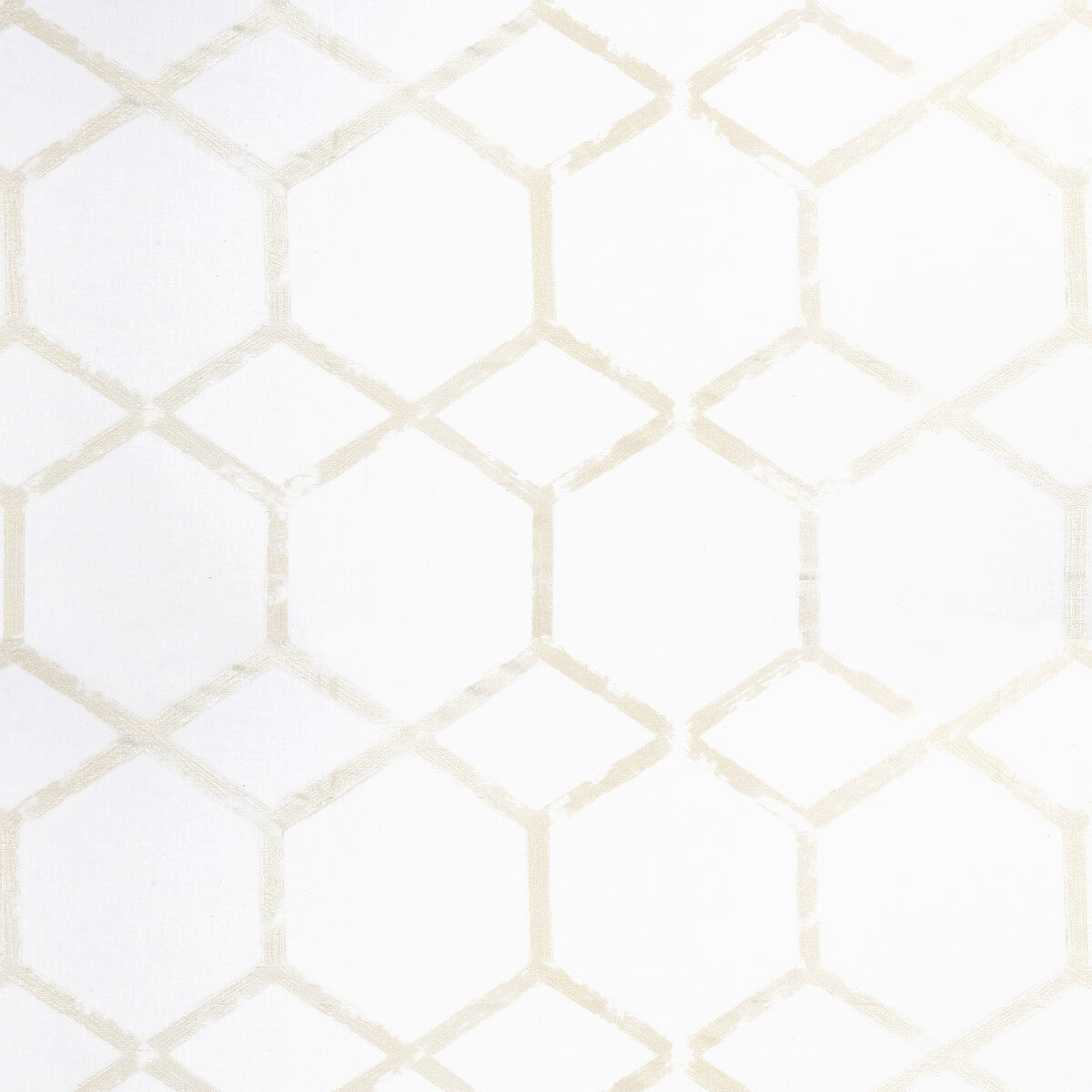 CLARKE AND CLARKE FORMA CHAMPAGNE
