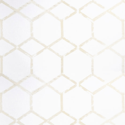 CLARKE AND CLARKE FORMA CHAMPAGNE