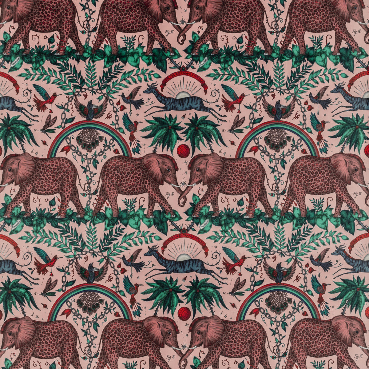 CLARKE AND CLARKE ZAMBEZI VELVET PINK