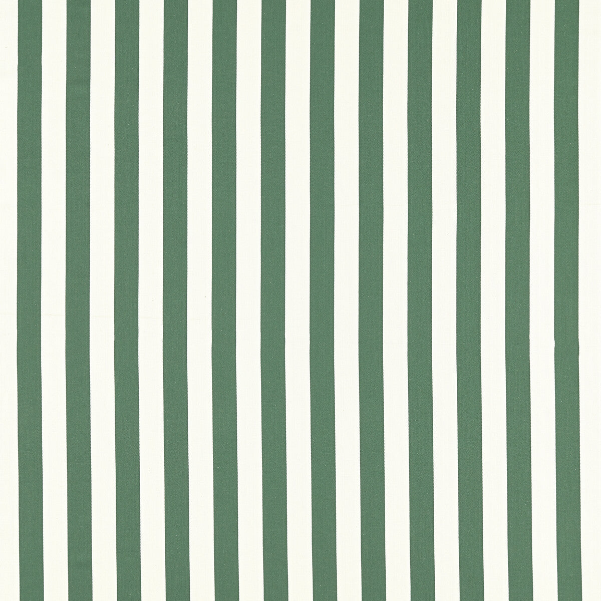 CLARKE AND CLARKE PORTLAND RACING GREEN