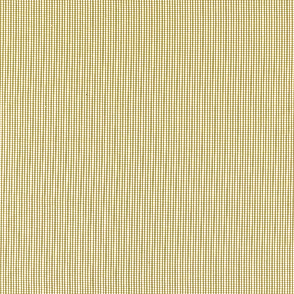 CLARKE AND CLARKE WINDSOR OCHRE