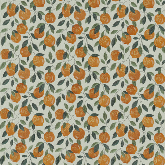 CLARKE AND CLARKE SICILIAN ORANGE
