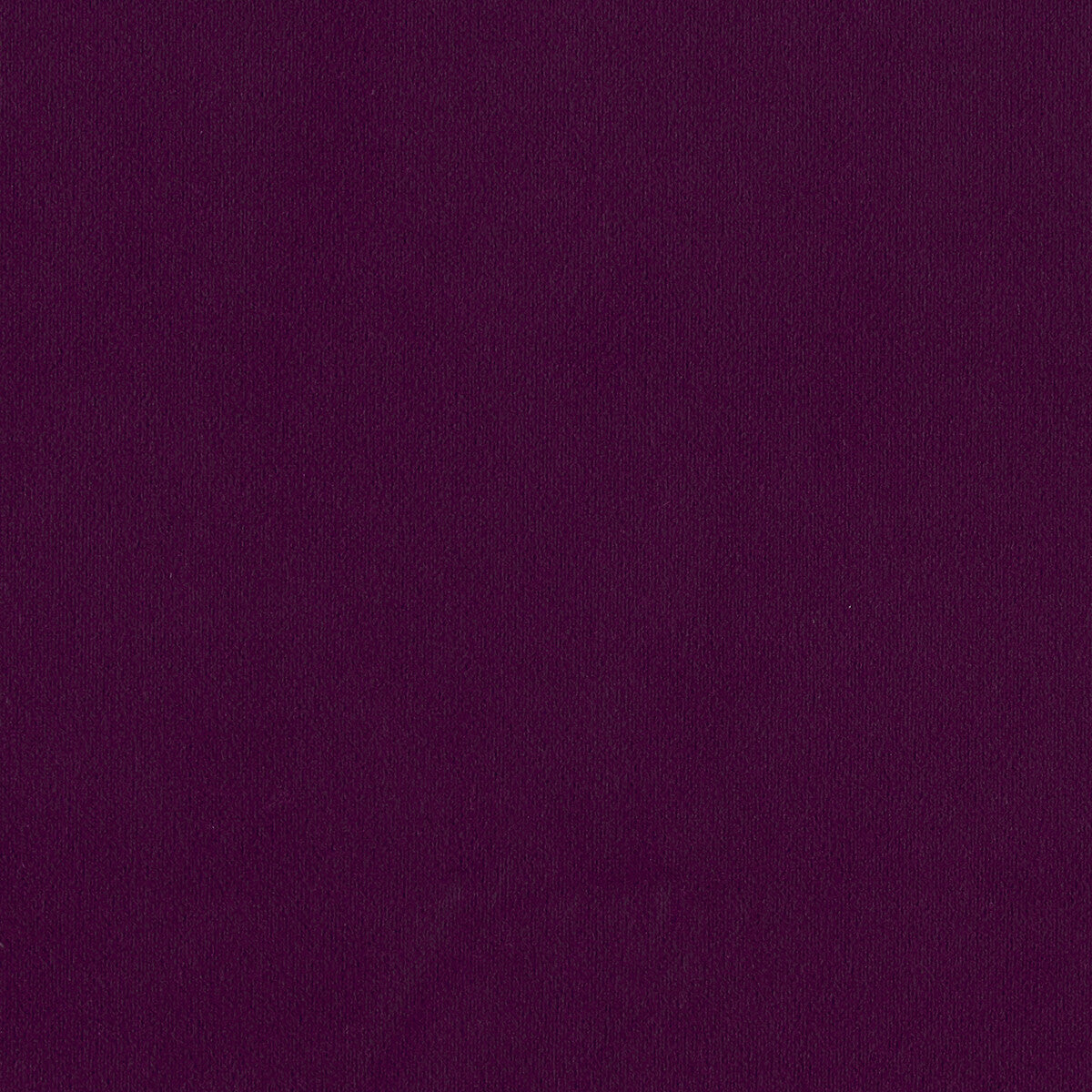 CLARKE AND CLARKE MIAMI PLUM
