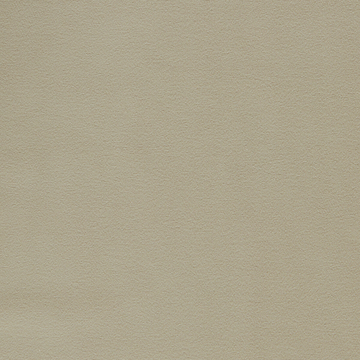 CLARKE AND CLARKE MIAMI TAUPE