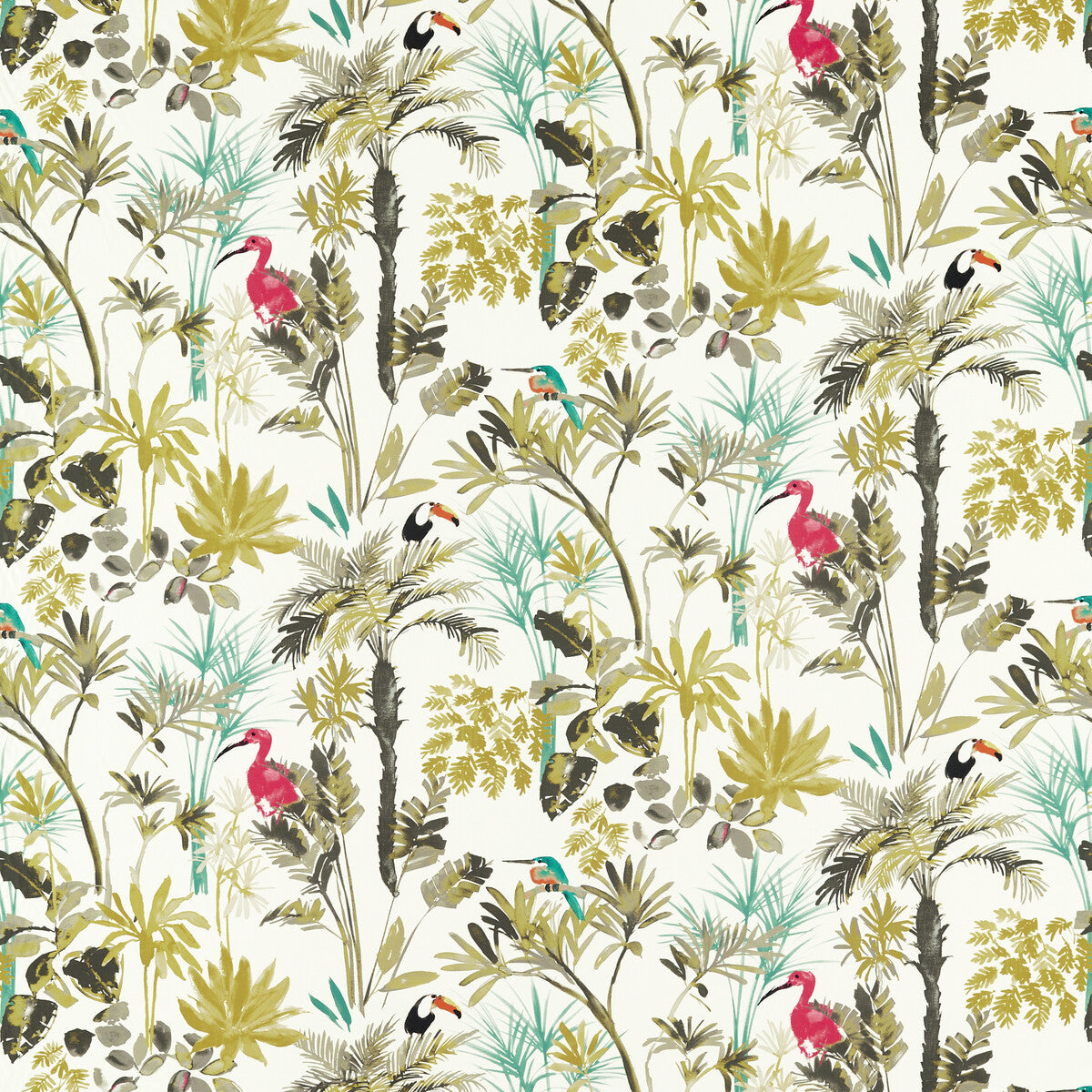 CLARKE AND CLARKE PALM CHARCOAL/CITRON