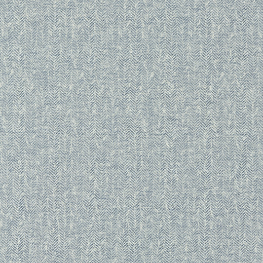 CLARKE AND CLARKE TIERRA DENIM