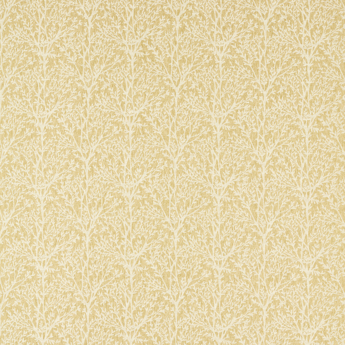 CLARKE AND CLARKE CROFT OCHRE