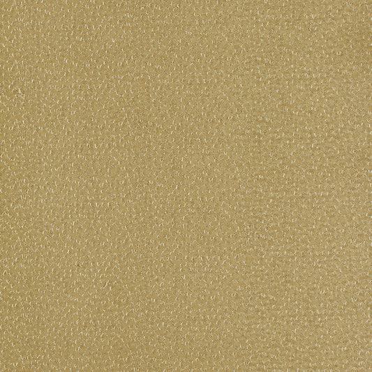 CLARKE AND CLARKE RICAMO OCHRE