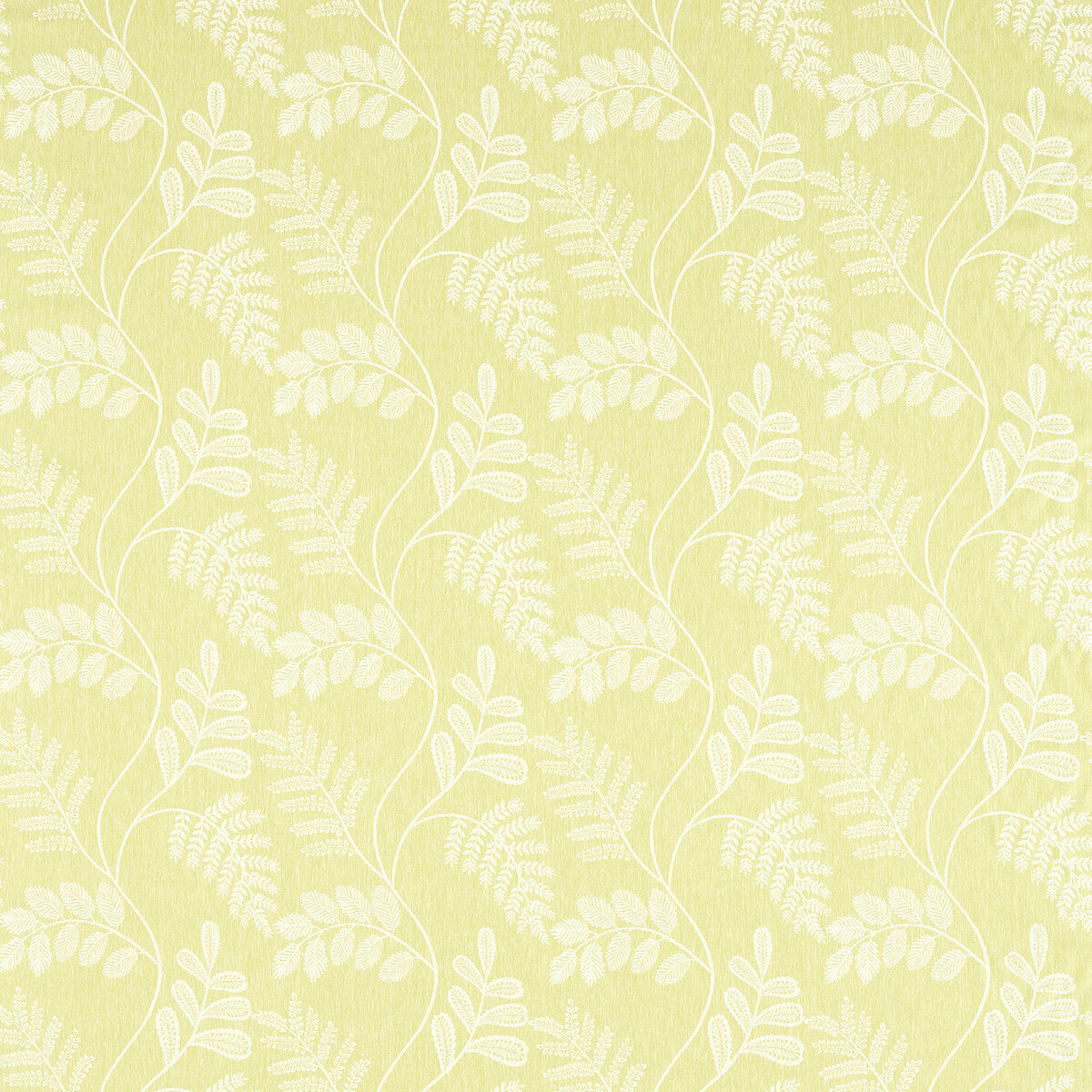CLARKE AND CLARKE AUDETTE CITRON