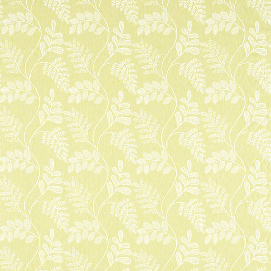 CLARKE AND CLARKE AUDETTE CITRON