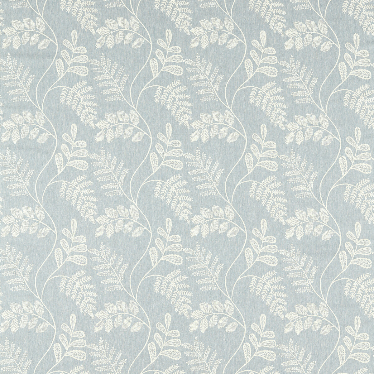CLARKE AND CLARKE AUDETTE DENIM