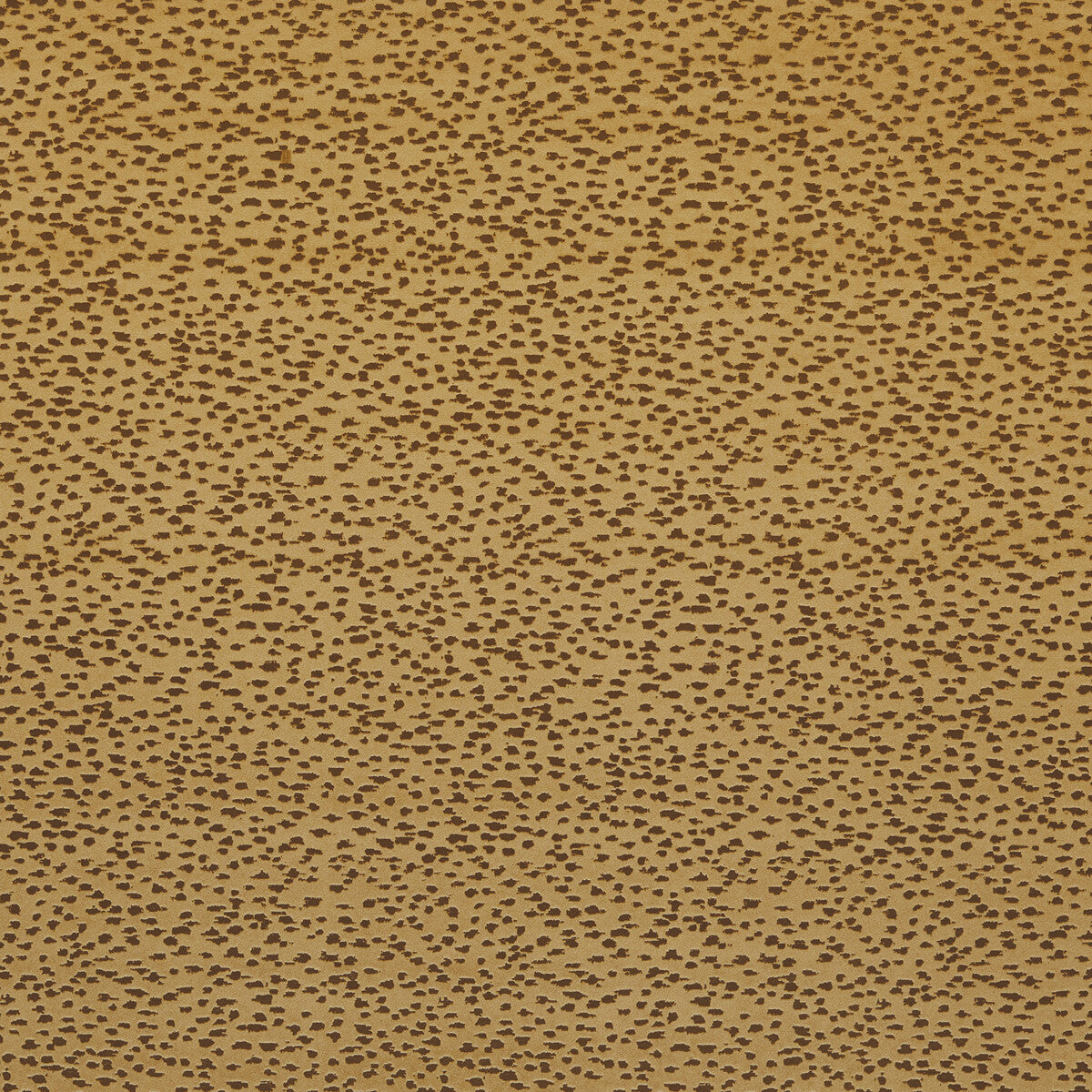 CLARKE AND CLARKE ASTRAL GOLD