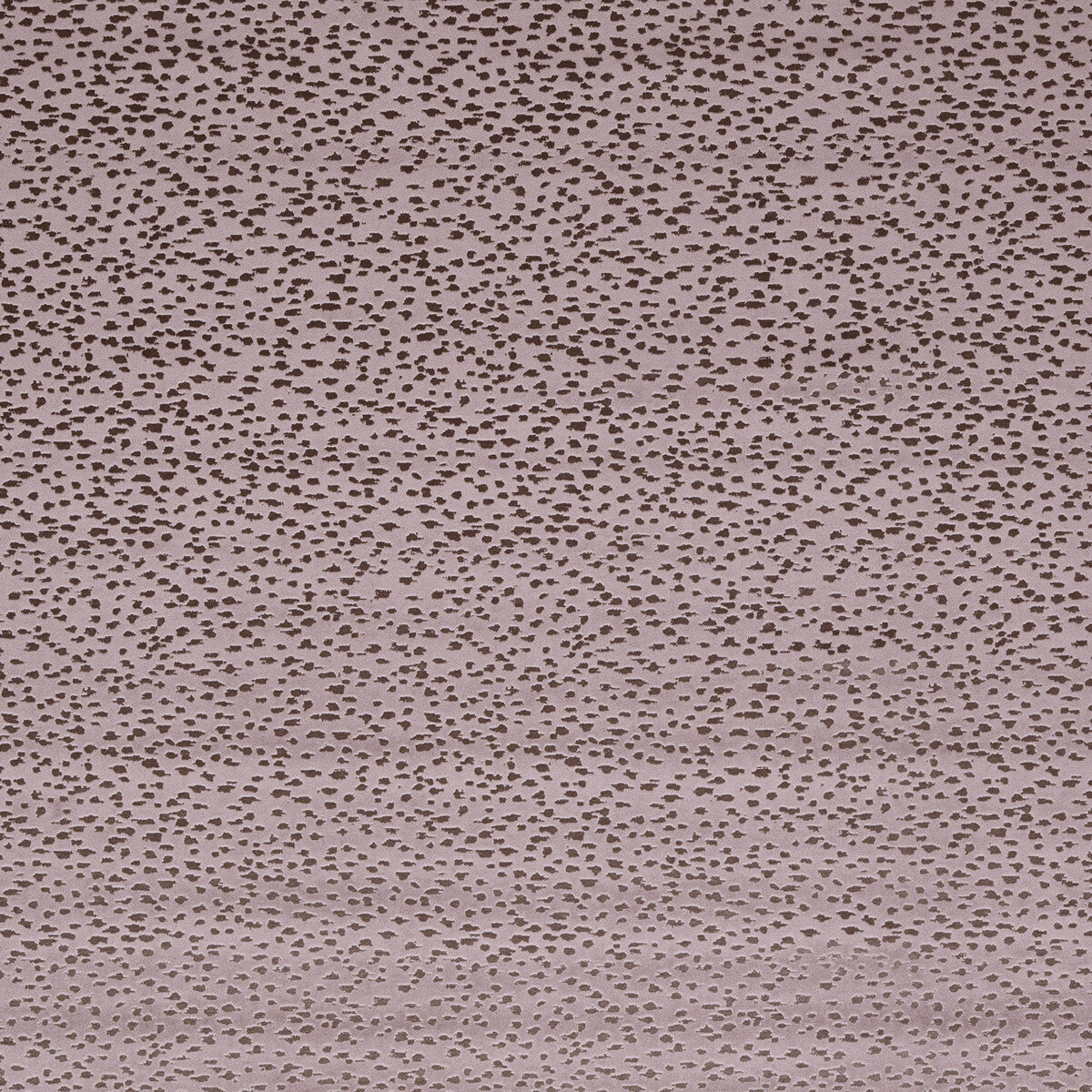 CLARKE AND CLARKE ASTRAL HEATHER