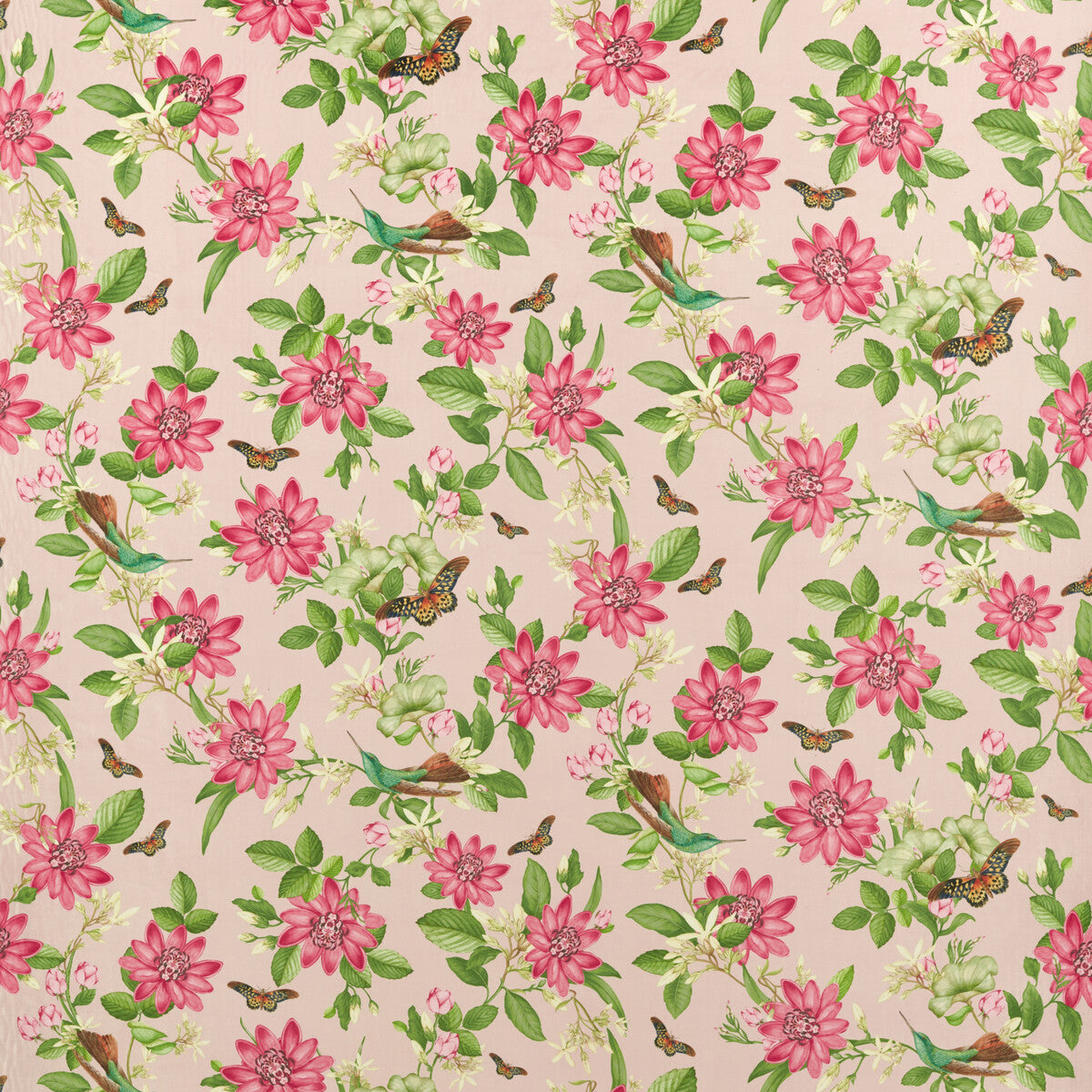 CLARKE AND CLARKE PINK LOTUS BLUSH VELVET