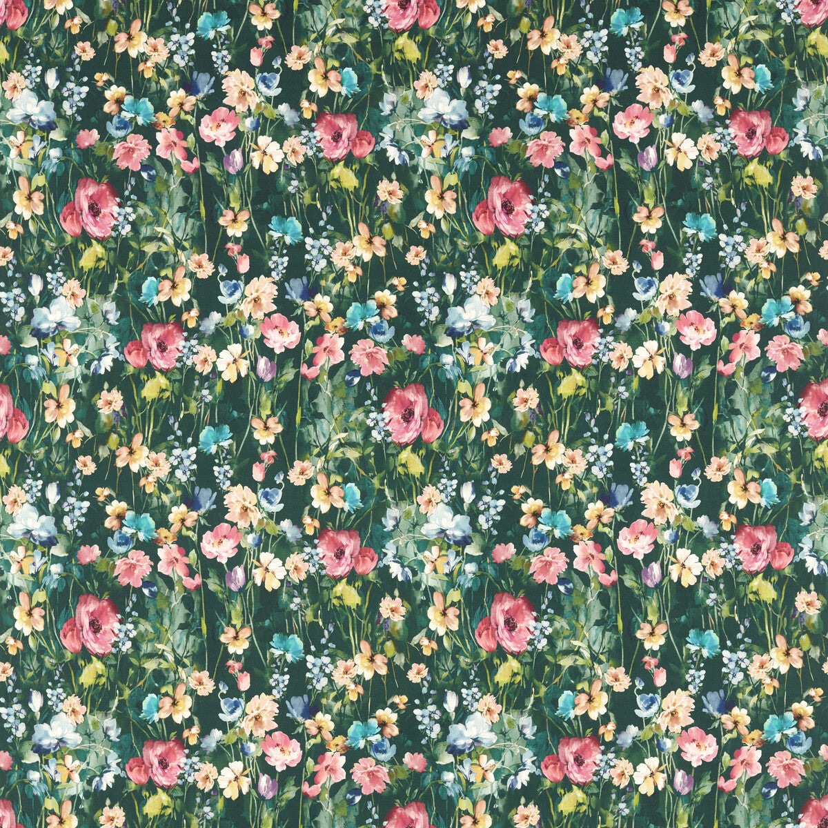 CLARKE AND CLARKE WILD MEADOW FOREST