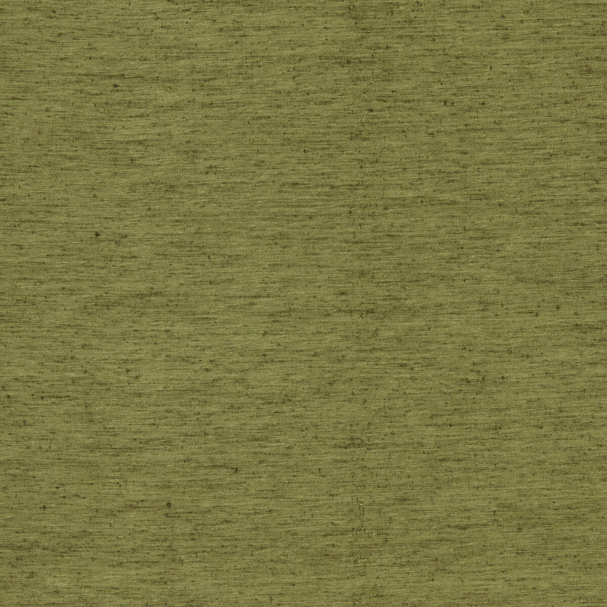 CLARKE AND CLARKE RAVELLO OLIVE