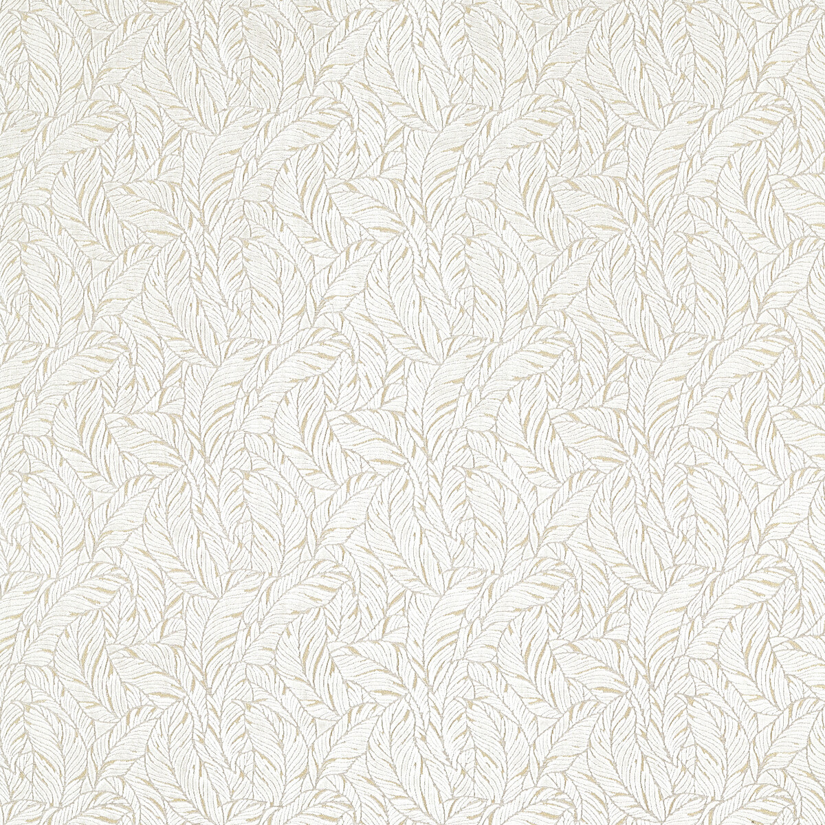 CLARKE AND CLARKE SELVA LINEN/CHAMPAGNE VELVET