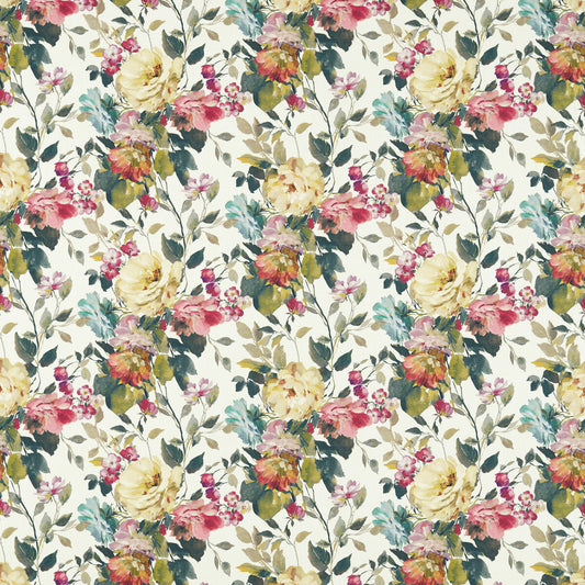 CLARKE AND CLARKE BLOOM MULTI