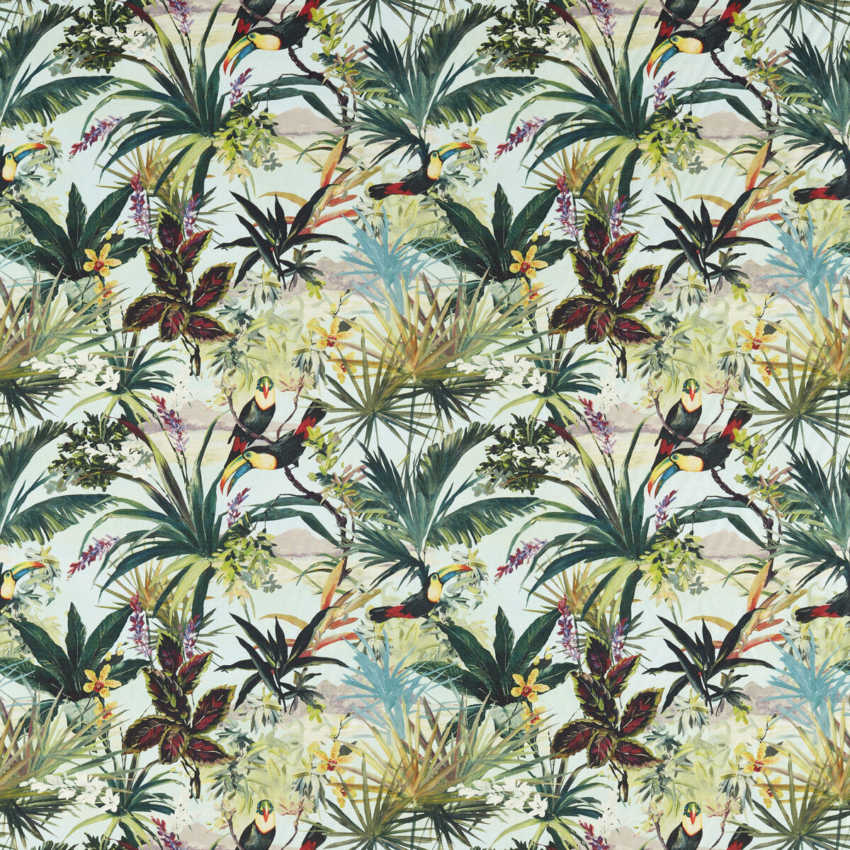 CLARKE AND CLARKE TOUCAN SKY
