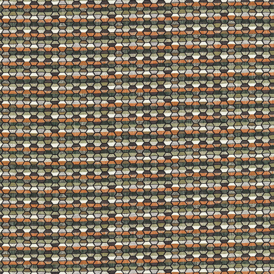 CLARKE AND CLARKE COSMIC FOREST