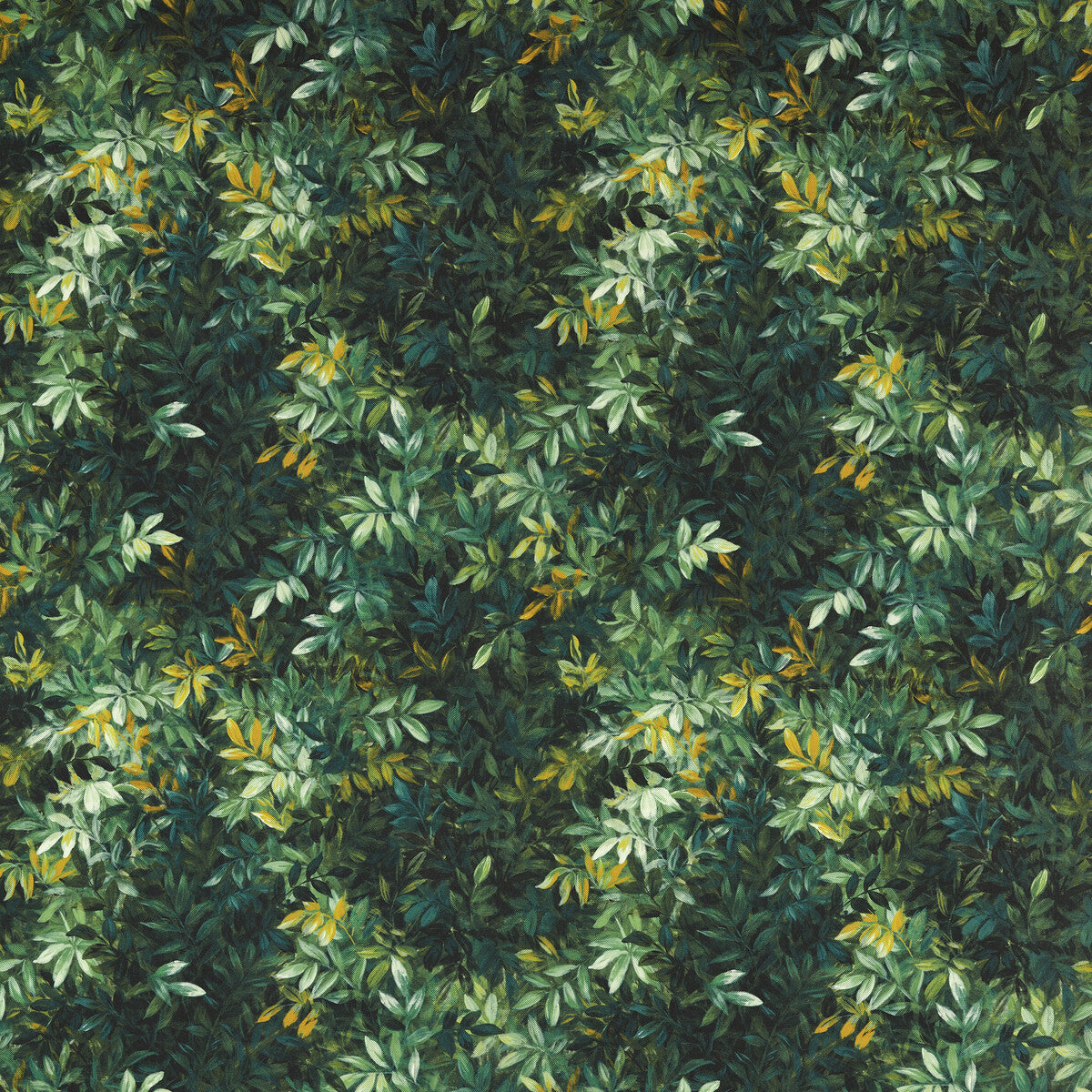 CLARKE AND CLARKE CONGO OUTDOOR