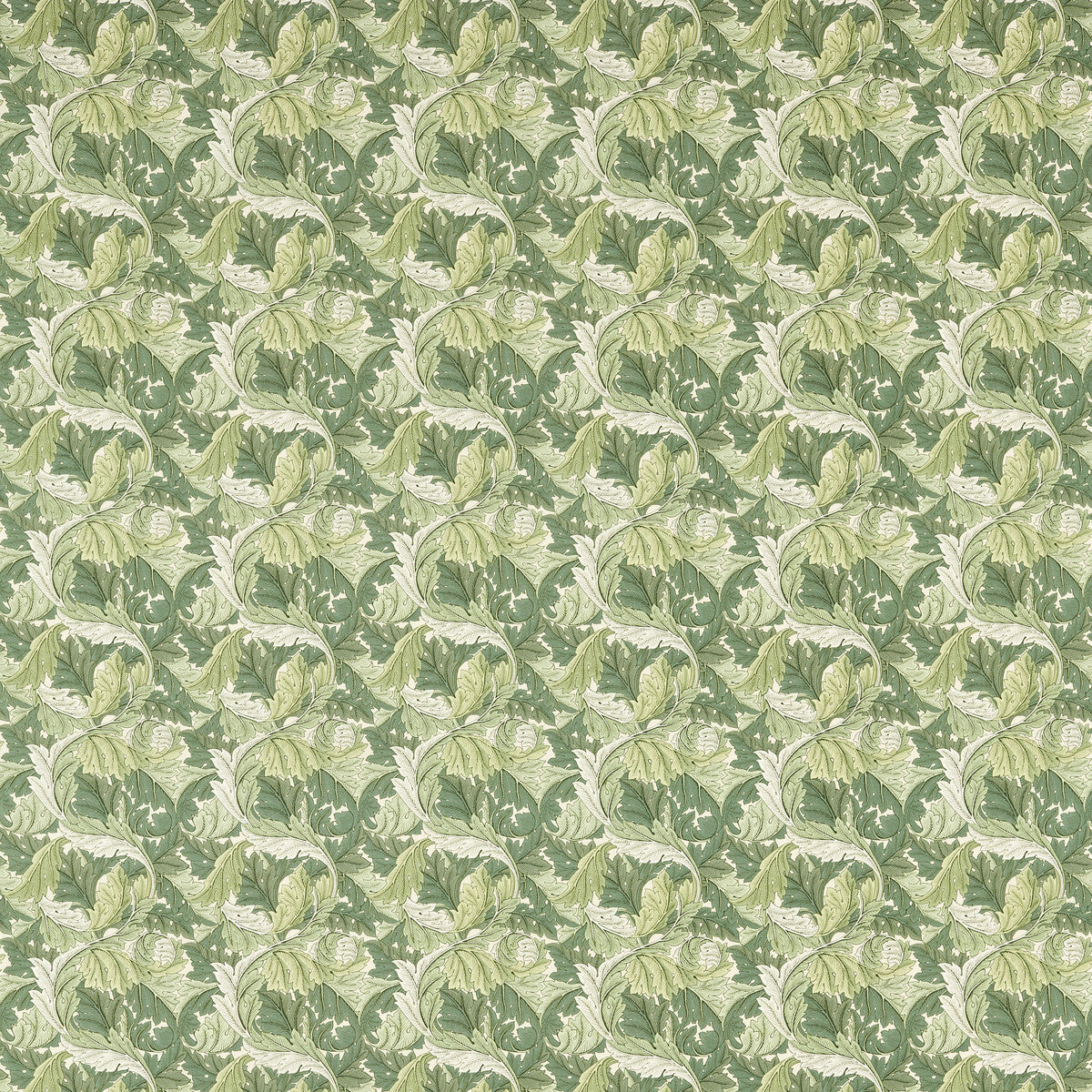 CLARKE AND CLARKE ACANTHUS APPLE/SAGE