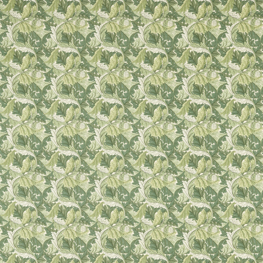 CLARKE AND CLARKE ACANTHUS APPLE/SAGE