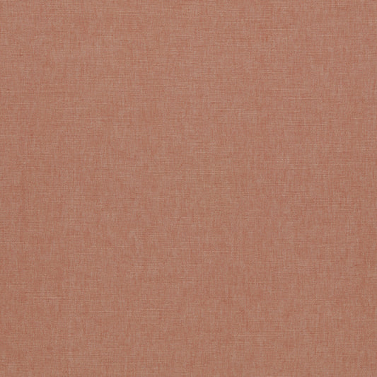 CLARKE AND CLARKE PARADISO CORAL