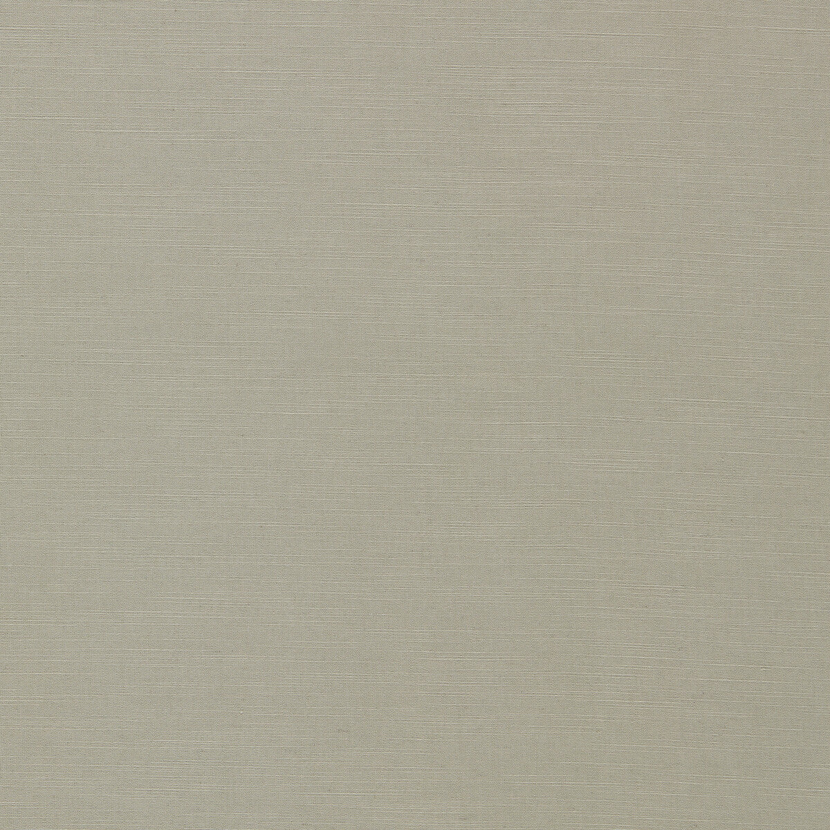 CLARKE AND CLARKE PARADISO DOVE